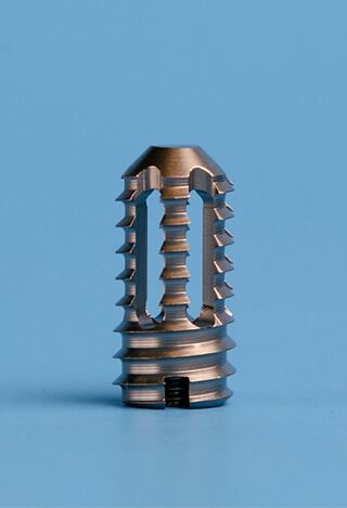 Spinal Cages
