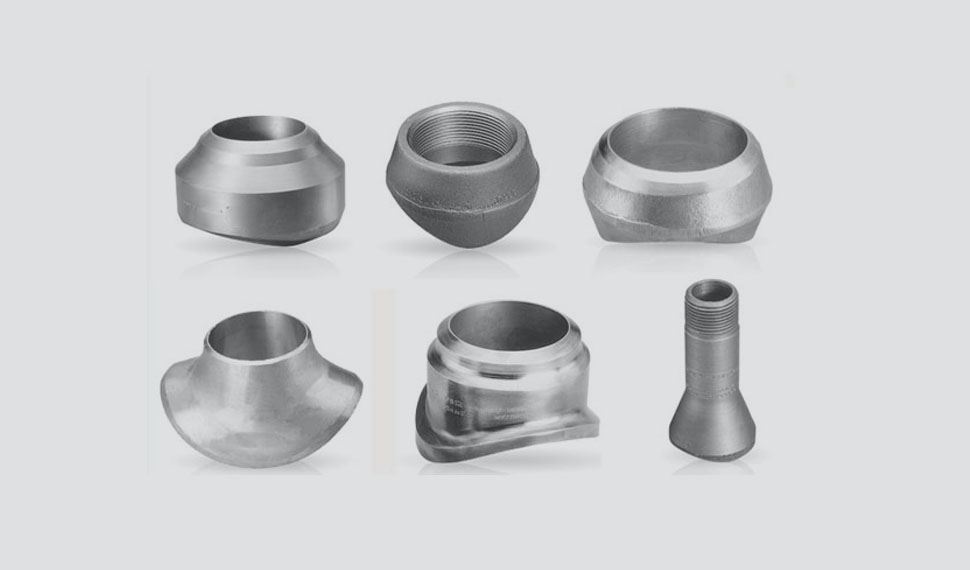 Stainless Steel 316 Outlets Branch Fittings
